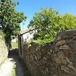 Peaceful Ligurian Hill