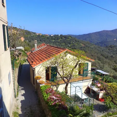Peaceful Ligurian Hill *