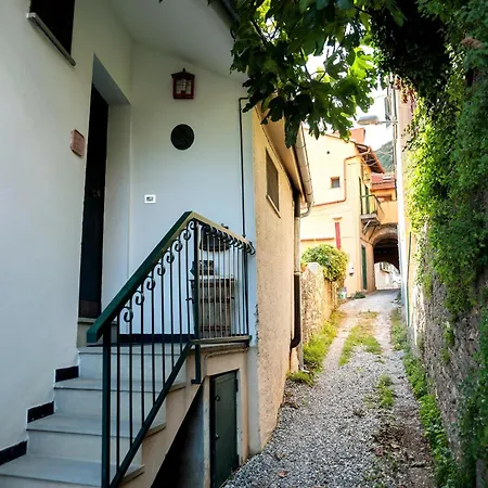 Peaceful Ligurian Hill