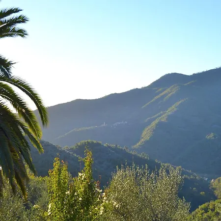 Peaceful Ligurian Hill Stellanello