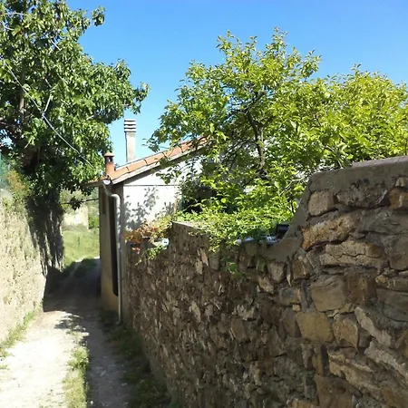 Peaceful Ligurian Hill
