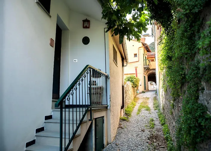 Peaceful Ligurian Hill