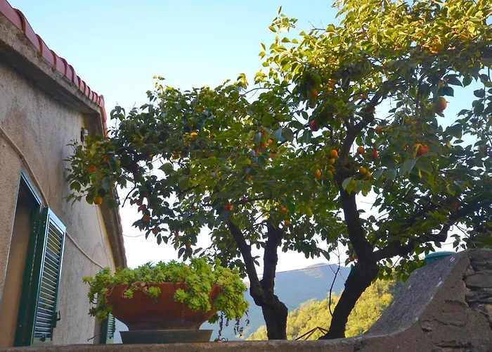 Сasa de vacaciones Peaceful Ligurian Hill